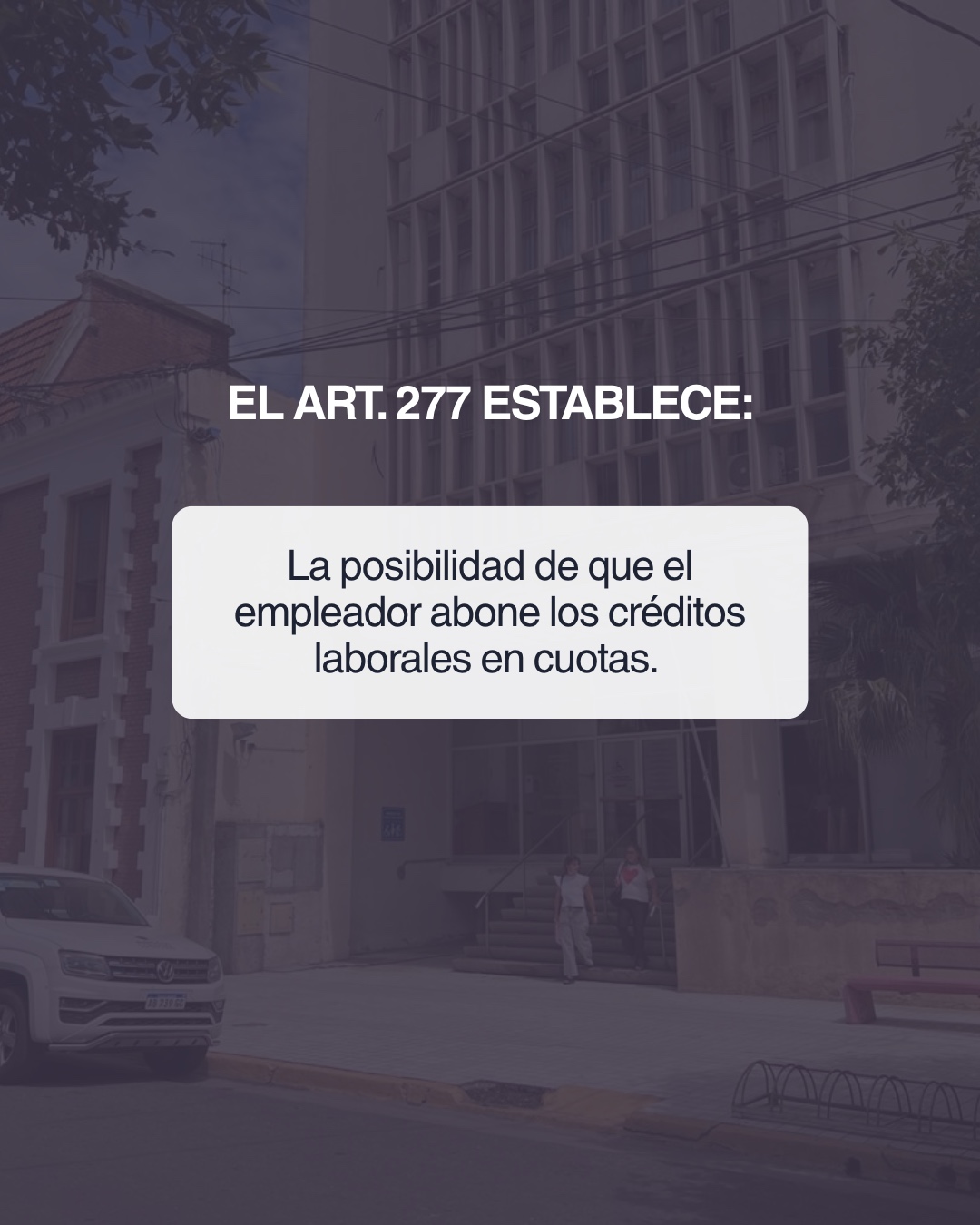 WhatsApp Image 2026-03-24 at 20.11.27 (3)